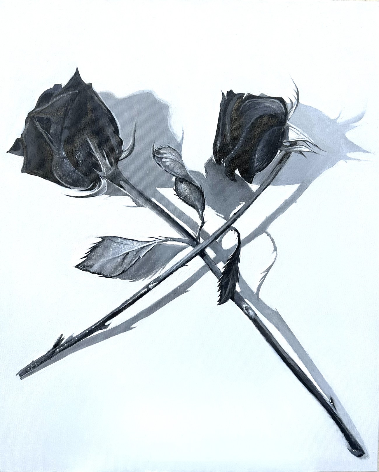 Clément Verdière, La rose Clément Verdière, La rose