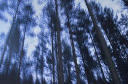 Fotografien, Blue hour, Nathalie Debroise