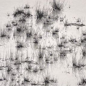 Fotografien, Sans titre, Nathalie Debroise