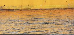 Fotografien, Matière marine, Nathalie Debroise