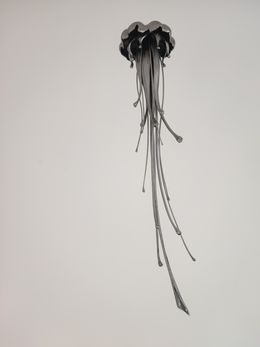 Skulpturen, Meduse 4, Benoît Polvêche