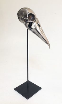 Skulpturen, Crâne d'oiseau, Benoît Polvêche