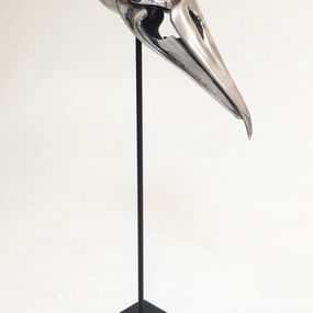 Skulpturen, Crâne d'oiseau, Benoît Polvêche