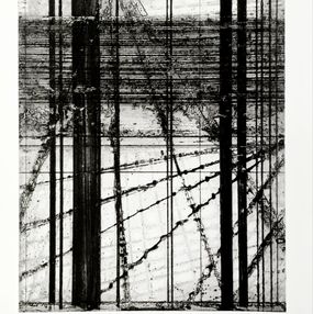Print, Sans titre vitre brisée, Renaud Allirand