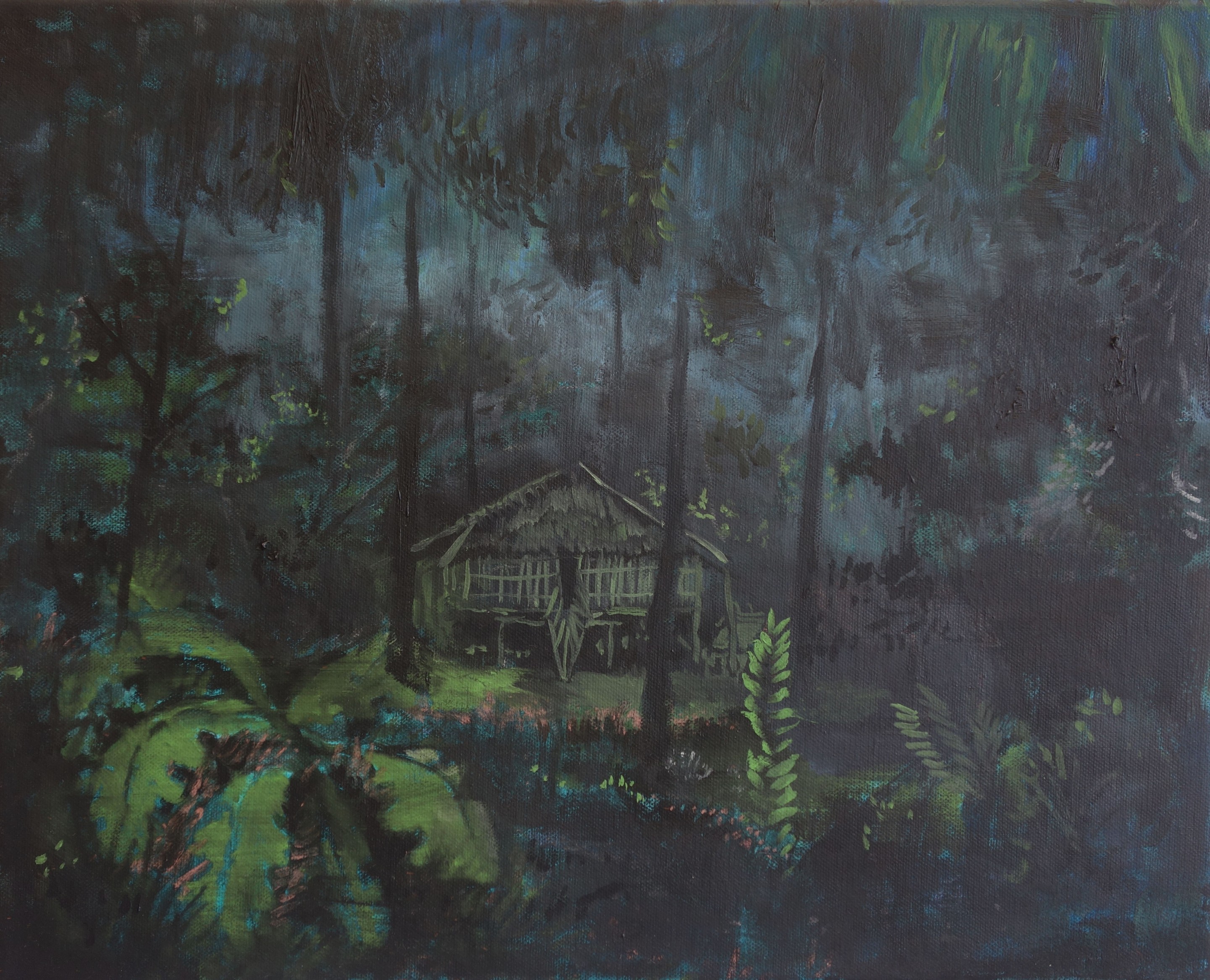 Peter de Boer, Borneo jungle cabin Peter de Boer, Borneo jungle cabin