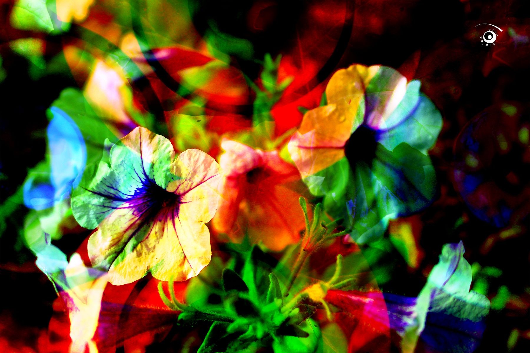 Eric Dujols, Nuclear activity 5 Eric Dujols, Nuclear activity 5