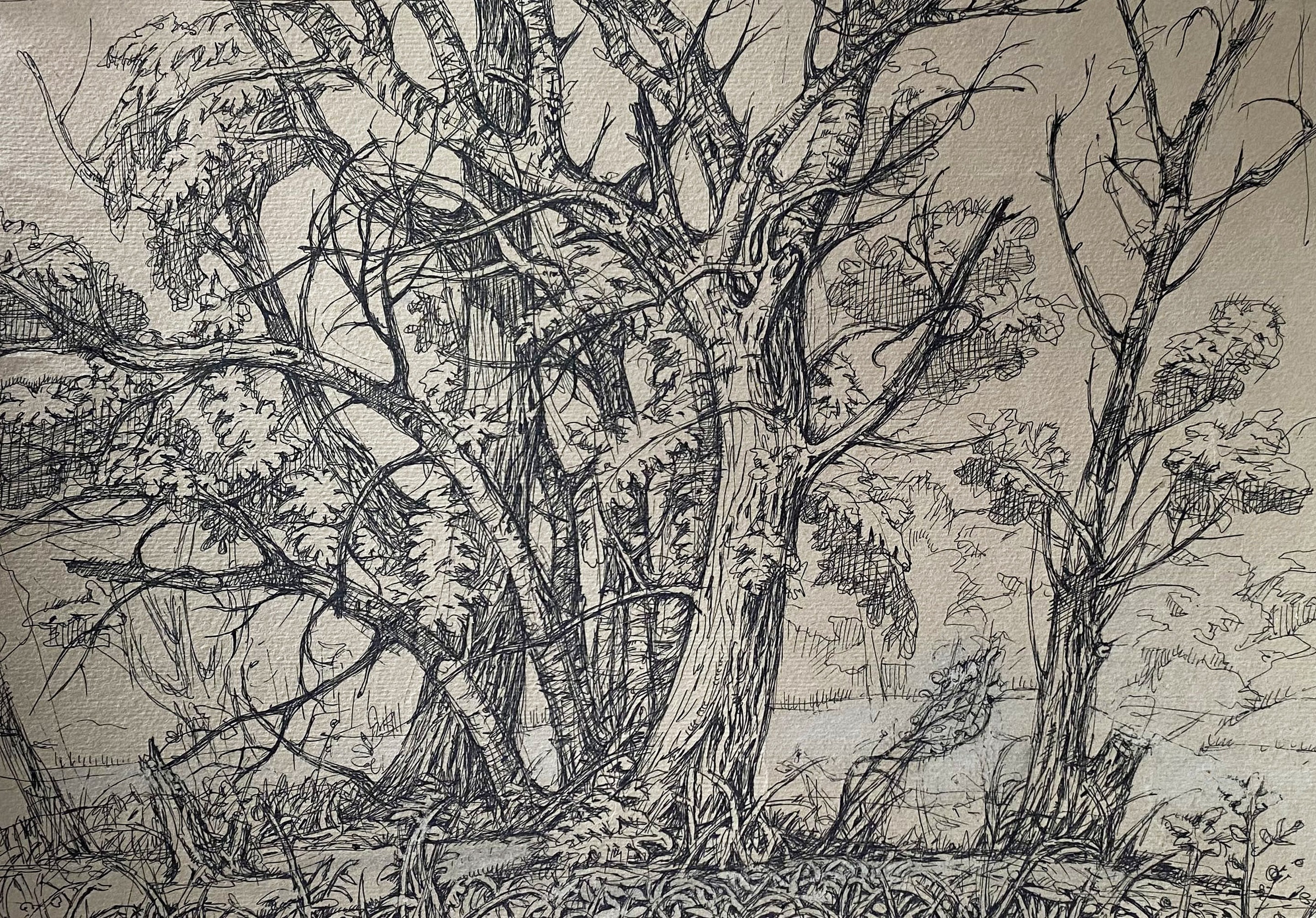 Oleg Litvinov, Trees Oleg Litvinov, Trees