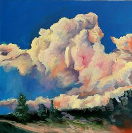 Pintura, Landscape. Bright cloud, Schagen Vita