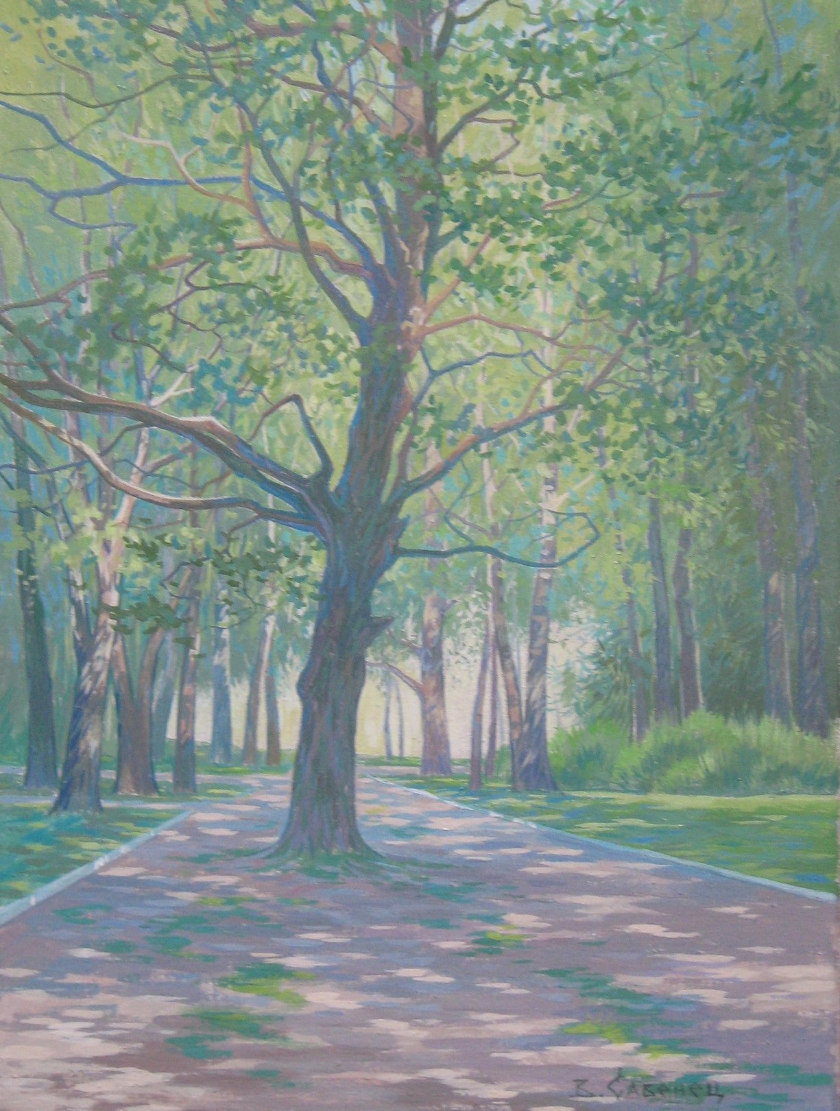Valery Savenets, Oak Valery Savenets, Oak