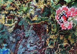 Print, Blanket of Memories, Ildzhan Ismetov