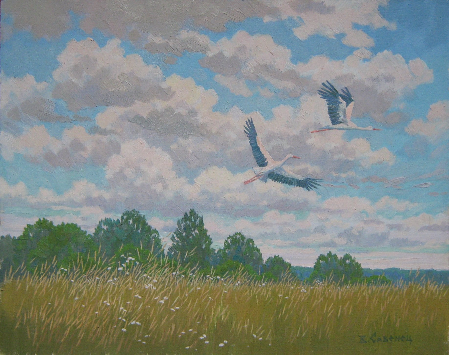 Valery Savenets, Storks Valery Savenets, Storks