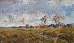 Gemälde, November Field. Etude, Valery Savenets