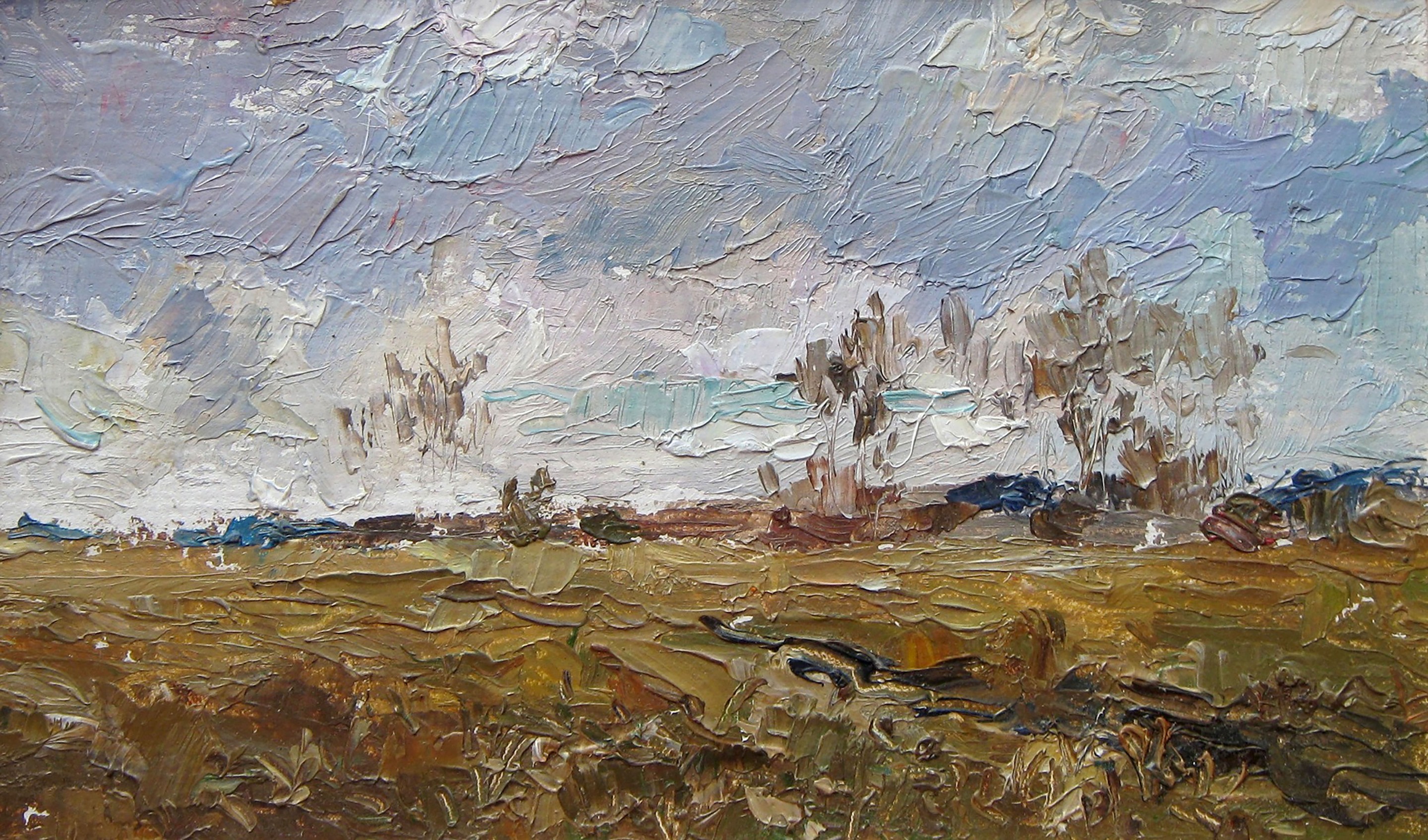 Valery Savenets, November Field. Etude Valery Savenets, November Field. Etude