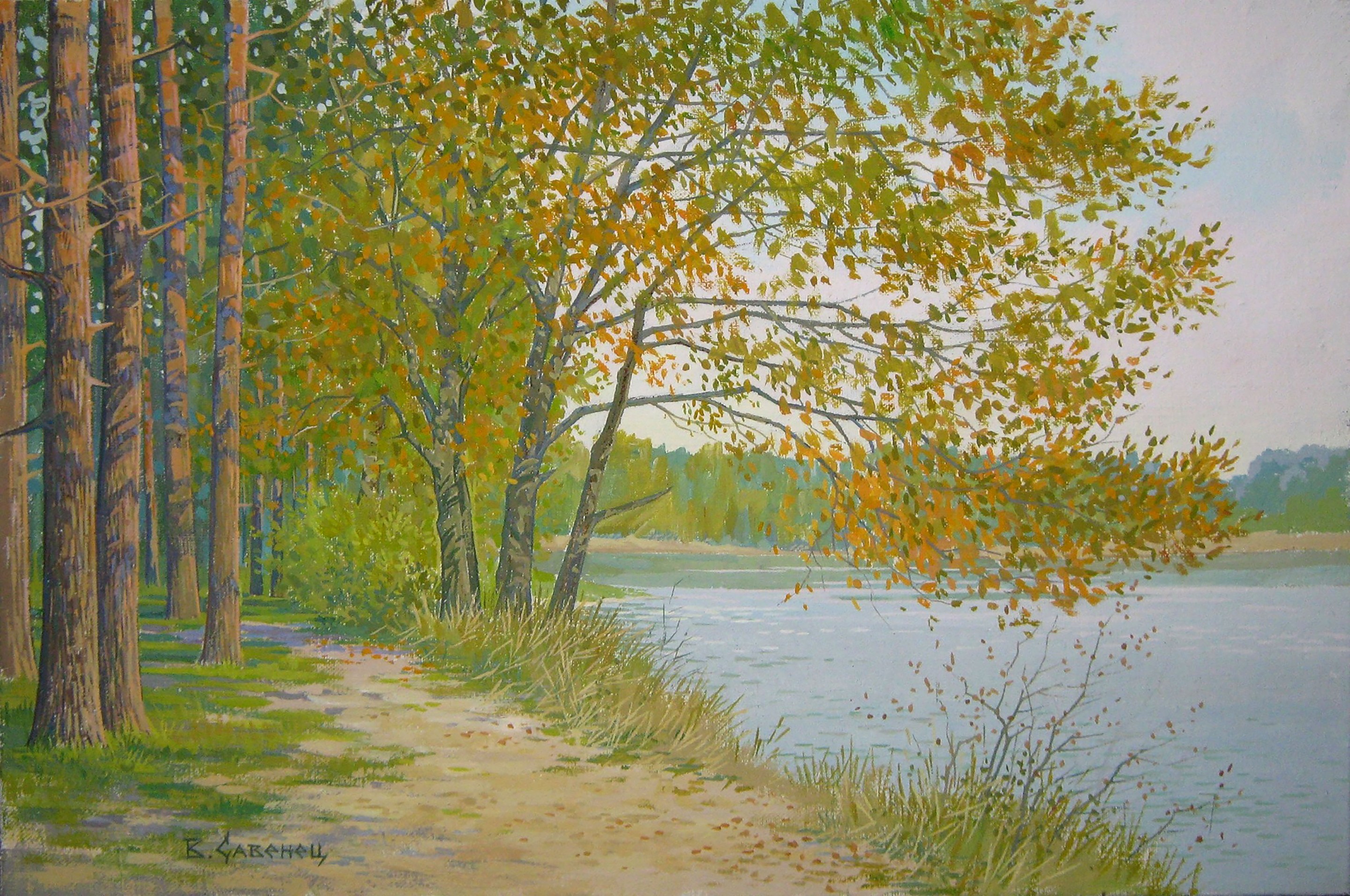 Valery Savenets, October. Teterev Region Valery Savenets, October. Teterev Region