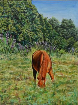 Pittura, Landscape. Horse in the field, Schagen Vita