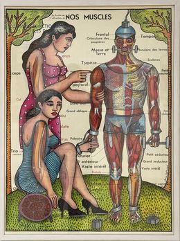 Dibujo, Nos muscles, Clara Castagné