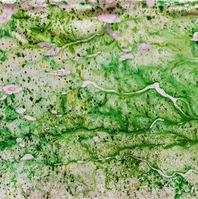 Peinture, Registros y llagas, nenúfares y un pájaro. From The Series Registros, Nat Orlowski