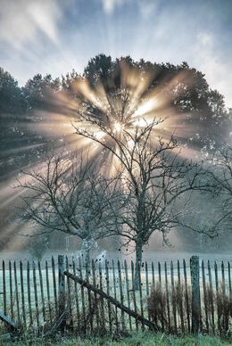 Photography, Solaire, Jean François Humbert
