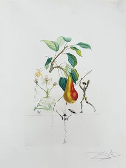 Edición, Don Quixote Pear from Flordali suite, Salvador Dali