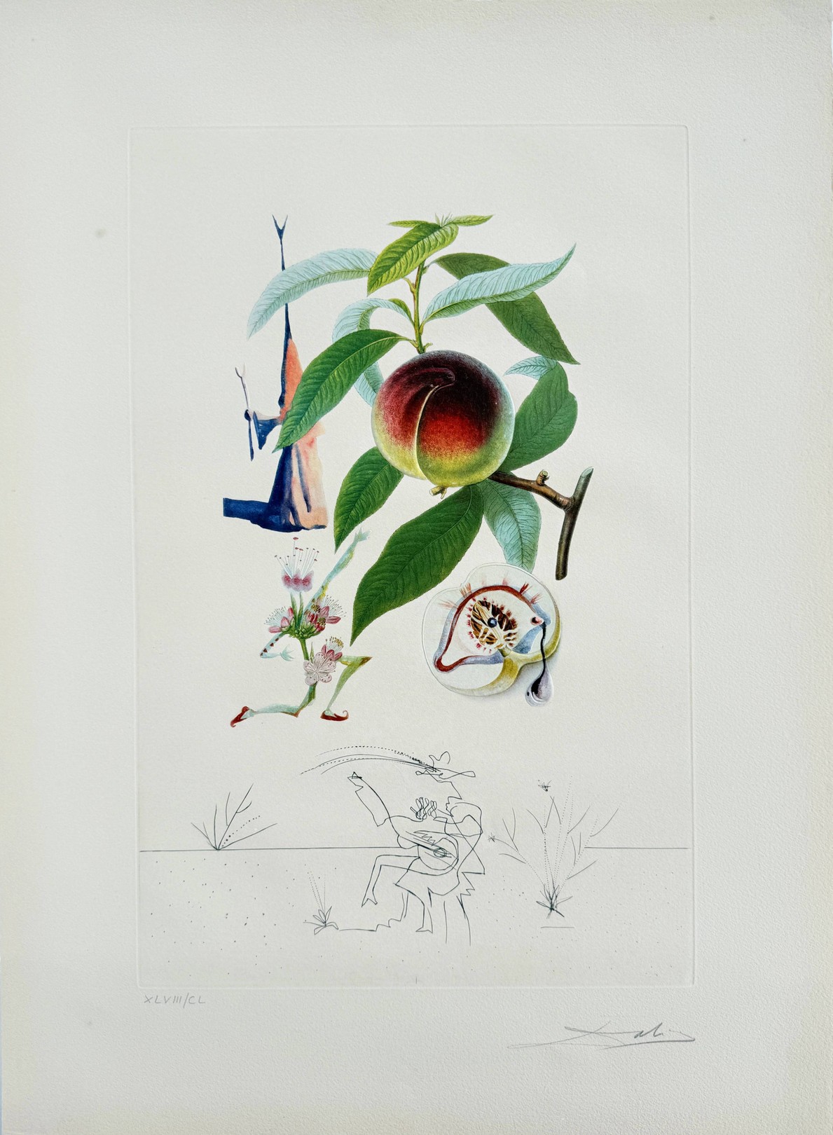 Salvador Dali, Dragon Apple from Flordali suite Salvador Dali, Dragon Apple from Flordali suite