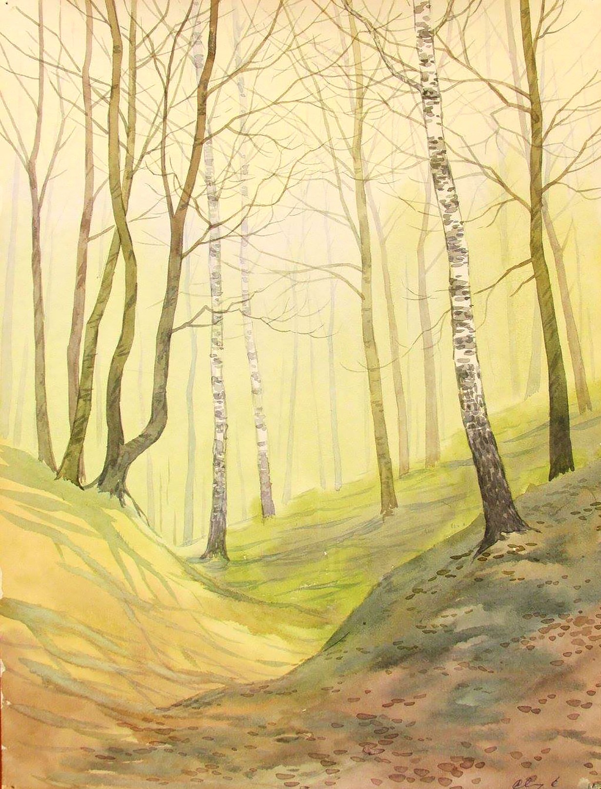 Valery Savenets, April Forest Valery Savenets, April Forest