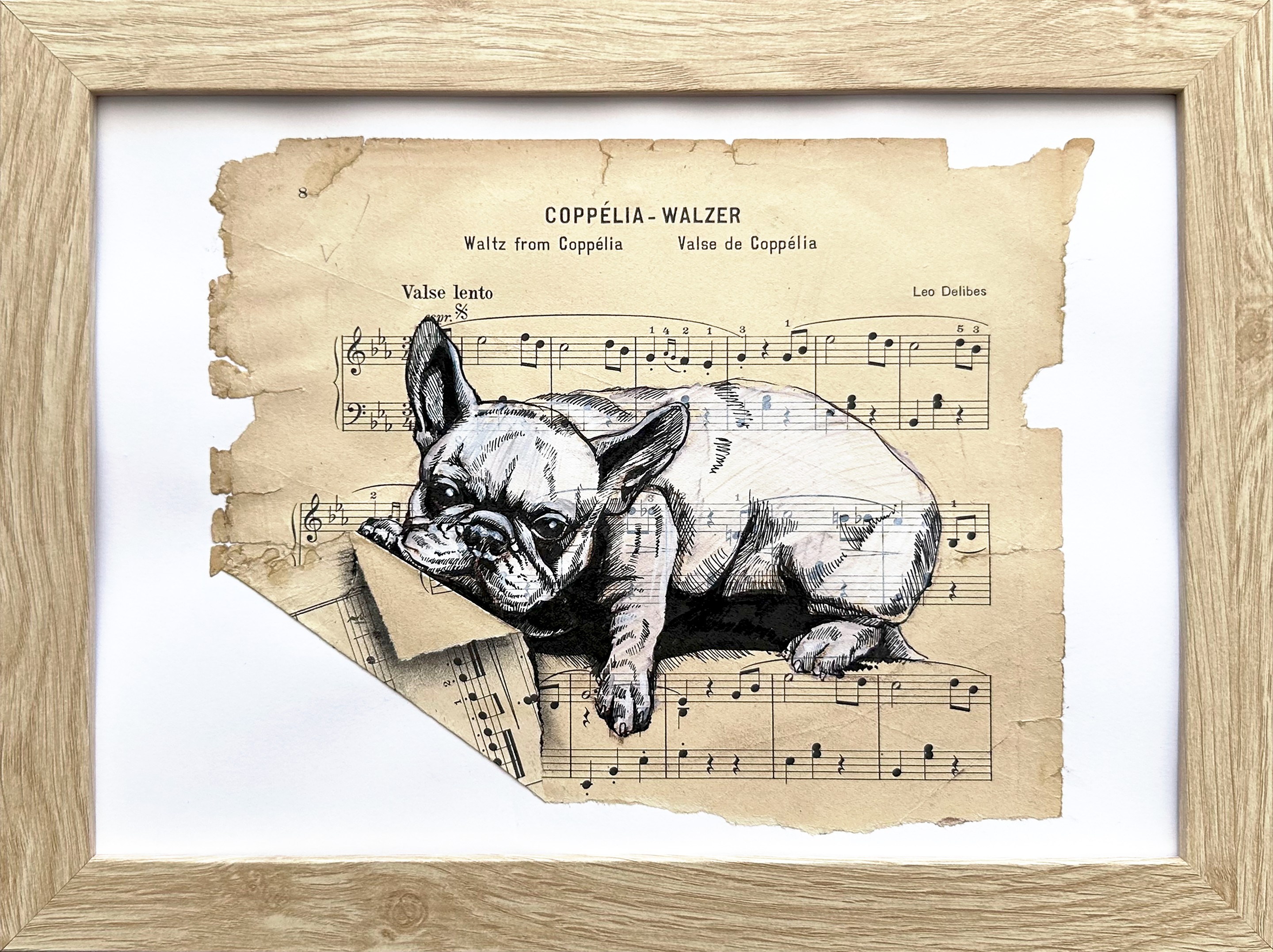 Julia Shilo, Frenchie Etude 1 Julia Shilo, Frenchie Etude 1