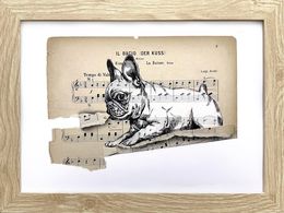 Disegno, Frenchie Etude 3, Julia Shilo