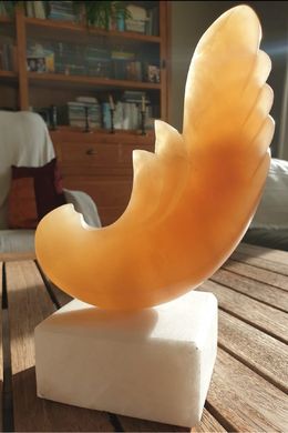 Sculpture, Wounded little Bird 1, David Natidze
