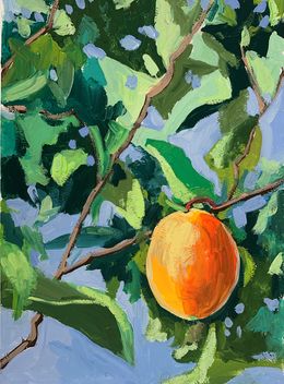 Pittura, Apricot garden, Schagen Vita