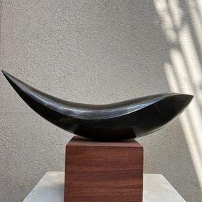 Sculpture, Equilibrium 1, David Natidze