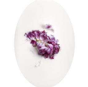 Photographie, Latte e polline 18, Nicola Vinci