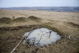Fotografia, No man`s land #13, Stefan Badulescu