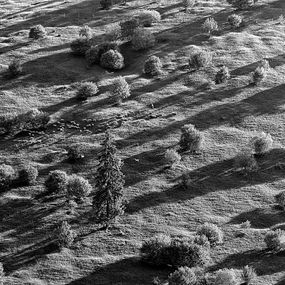 Photography, Harghita #2, Loránd Vakarcs