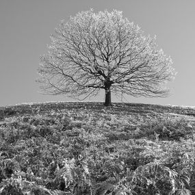 Photography, Hunedoara, Loránd Vakarcs