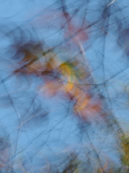 Fotografia, Sans titre III, Sylva Sylva