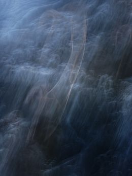 Fotografia, Sans titre 6, Sylva Sylva