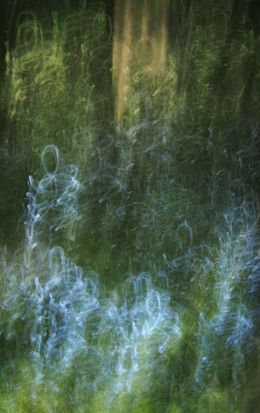 Fotografia, Sans titre 7, Sylva Sylva