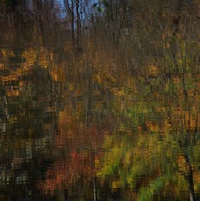 Photographie, Sans titre 8, Sylva Sylva