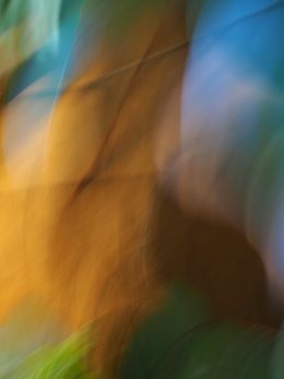 Fotografia, Sans titre 10, Sylva Sylva
