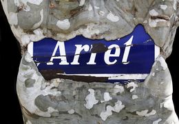 Fotografia, Arrêt sur Image, Regis Duvignau