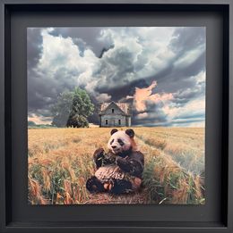 Fotografia, Le nouveau Propriétaire, Xavier Wttrwulghe