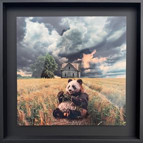 Fotografia, Le nouveau Propriétaire, Xavier Wttrwulghe
