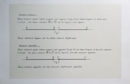 Stampe, Vecteurs égaux - Vecteurs opposés, Bernar Venet