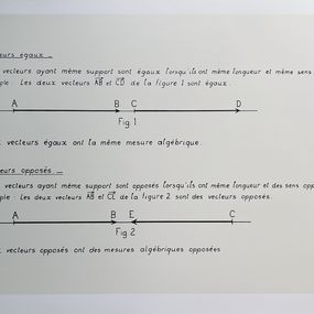 Stampe, Vecteurs égaux - Vecteurs opposés, Bernar Venet