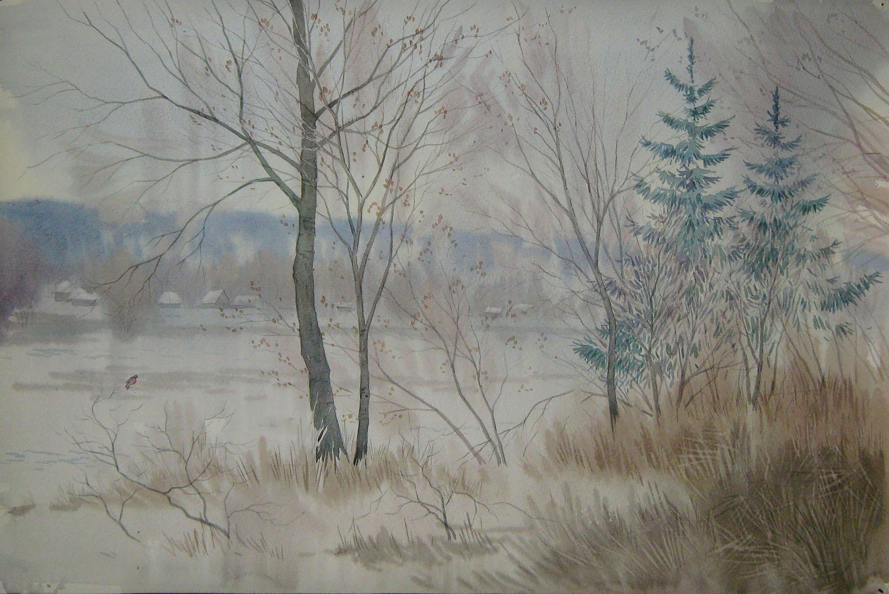 Valery Savenets, Snow Valery Savenets, Snow