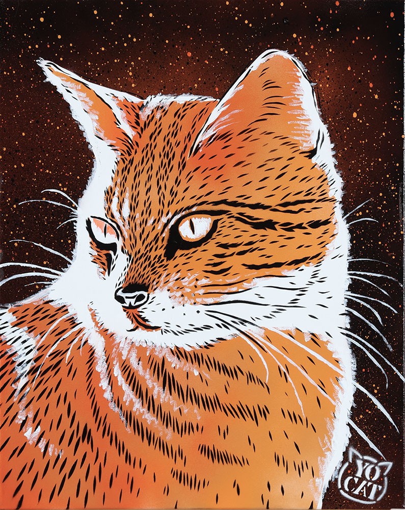 YoCat, Chat 2 YoCat, Chat 2