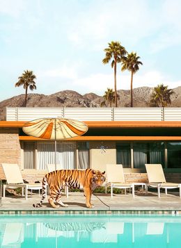 Fotografia, Pool Party Tiger - Large, Paul Fuentes