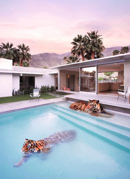 Fotografía, Palm Springs Tigers - Large, Paul Fuentes