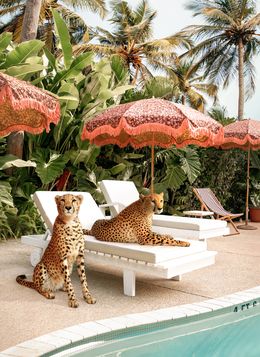 Fotografía, Cheetahs at The Pool - Large, Paul Fuentes
