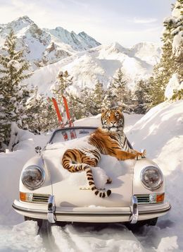Fotografía, Tiger In St. Moritz - Large, Paul Fuentes